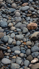River Stones
