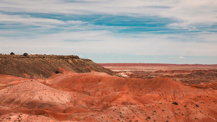 Fototapeta premium Red Deserts of Arizona