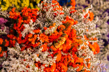 Bouquets of colorful meadow flowers as a background