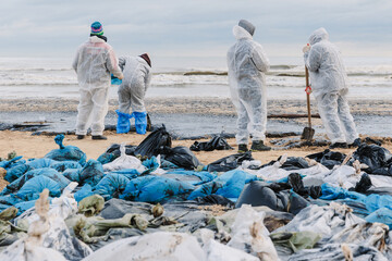 December 19, 2024. Anapa, Russia. Volunteers clean sea beach from oil after a tanker wreck, oil...