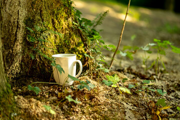 Coffee cup leaning against a tree in a forest. Concept of sustainability in the workplace,...