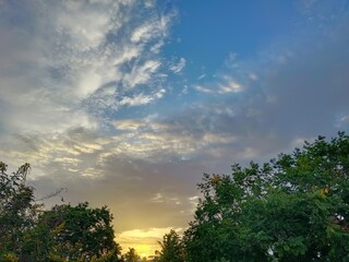 Sunset over green trees and blue sky 