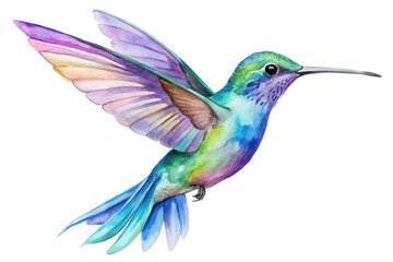 Fototapeta premium Vibrant watercolor hummingbird with iridescent feathers in flight isolated on transparent background