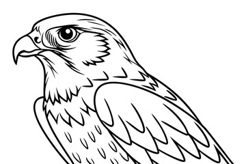 coloring page line art the falcon black vector