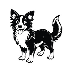 Naklejka premium Playful black and white border collie dog with fluffy tail canine animal