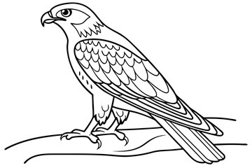 Fototapeta premium coloring page line art the falcon black vector