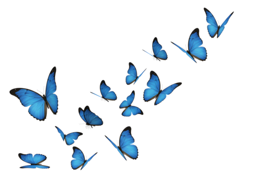 A group of blue butterflies isolated on transparent background