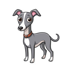 Playful greyhound cartoon with big eyes and collar italian greyhound illustration