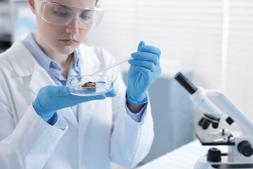 Scientist working with sample in Petri dish in laboratory, selective focus