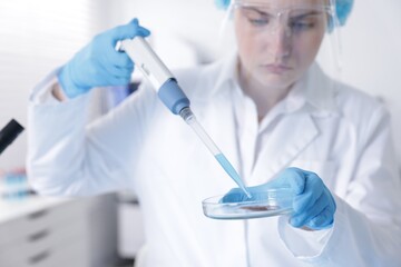 Scientist working with sample in Petri dish in laboratory, selective focus