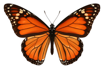A beautiful monarch butterfly isolated on transparent background