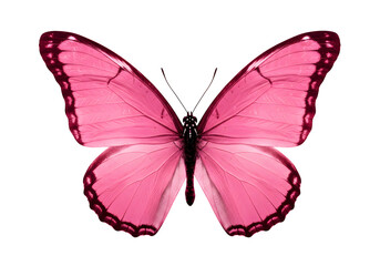 A pink butterfly with symmetrical wings isolated on transparent background