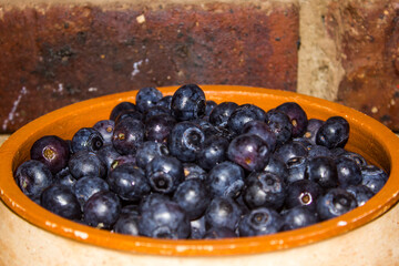 A pottery bowl filled with large, indigo colored, blueberries, against a rough brick background