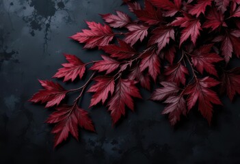  Leaf Maroon Theme and Night Ink Dream Illustration