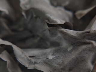 Abstract Macro of GrayishWhite Peeling Material with Rough Texture and Shallow Depth of Field.