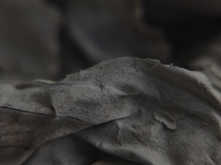 Abstract Monochrome Leaf Texture: Close-Up of Dried Foliage in Somber Tones