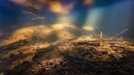 fast flow low visibility murky water, organic particle mud, silt dirty riverbed, viviparus and ramshorn valve snail shell, surface reflection underwater, shallow river Buher town in Lityn, Podillya