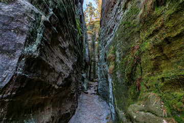 Narrow rocky passage in a mossy forested canyon with sunlit trees above