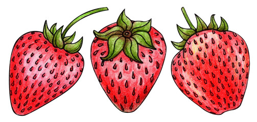 Strawberry set hand drawn watercolor. Ripe berry. Red fruit. Juicy farm harvest. Seasonal sweet food. Healthy eating, vitamins. Raw product. Vegetarian. Summer illustration.