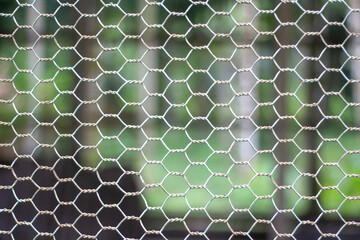 A big net makes a background, and behind green blur