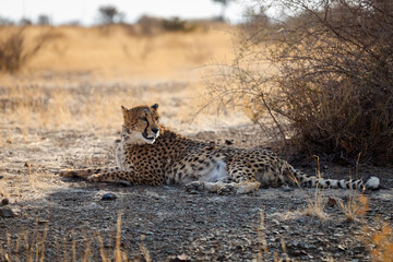 Untamed beauty of Namibia’s vast and rugged landscapes