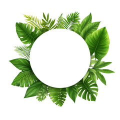 Circular frame adorned with tropical green leaves