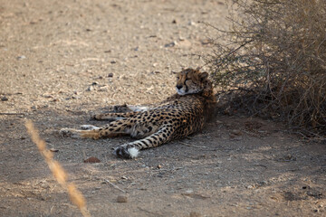 Untamed beauty of Namibia’s vast and rugged landscapes
