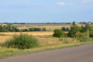 Obraz premium Scenic Rural Landscape with Fields and Road Under a Cloudy Sky