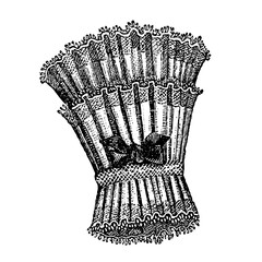 Victorian fashion line drawing women fashion accessories 