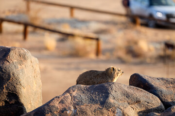Untamed beauty of Namibia’s vast and rugged landscapes