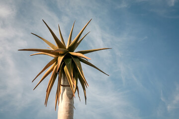 Untamed beauty of Namibia’s vast and rugged landscapes