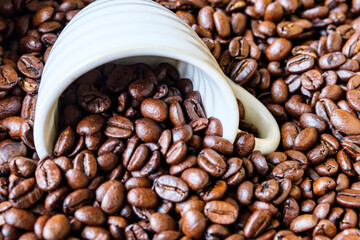Fresh Aromatic Roasted Organic Whole Coffee Beans