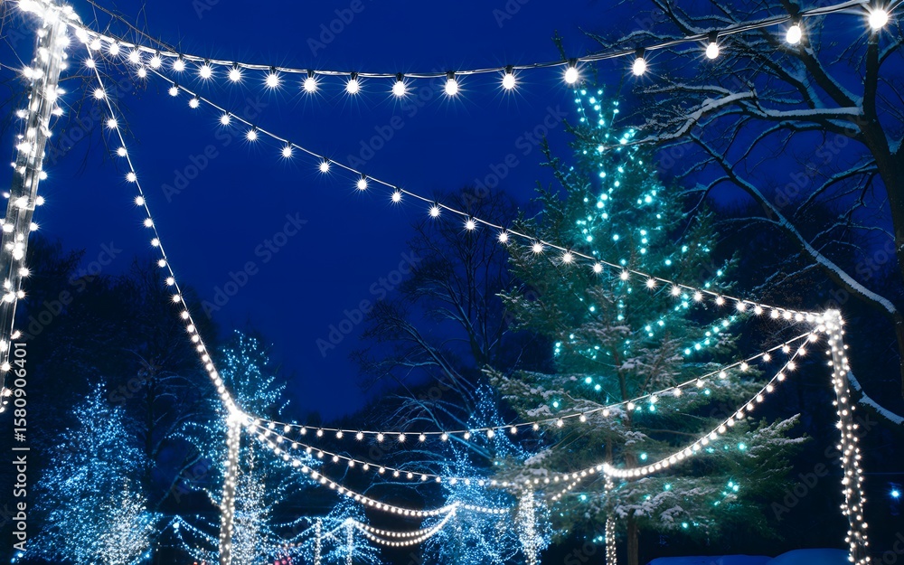 Poster illuminated strings of lights decorating festive winter scene with snow covered trees against a dark