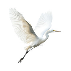 White egret gracefully flying high quality realistic image
