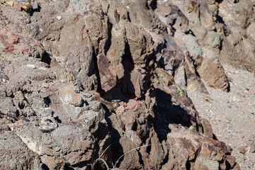 Untamed beauty of Namibia’s vast and rugged landscapes
