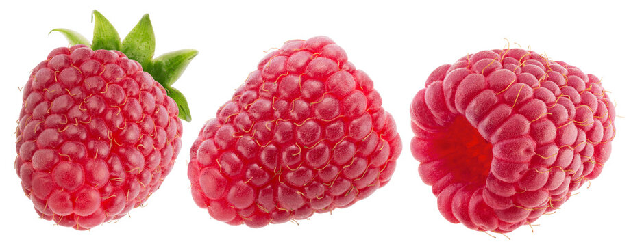 collection of single raspberry isolated on white background