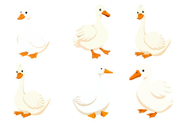 Keep in mind that the vectors to be uploaded should have a transparent background, not white. Remember this while writing the keywords