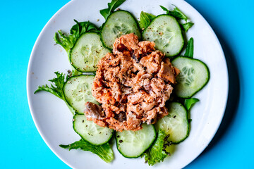 Red Salmon Fish With Cucumber and Salad Leaves