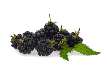 Blackberry berries isolated on white background.