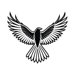 Fototapeta premium Black bird silhouette wings spread wide flying