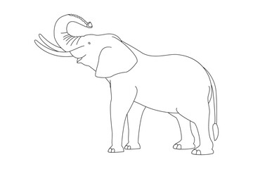 vector cartoon animal isolated on transparent background. black and white style