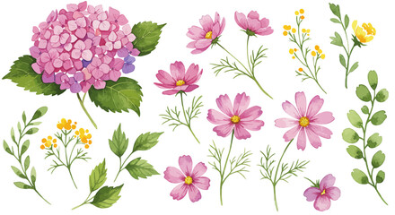 Watercolor illustration featuring a variety of flowers including hydrangea and cosmos blossoms