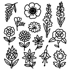 Winter flowers icon set featuring seasonal botanical illustrations in hand-drawn black outline, Transparent Background