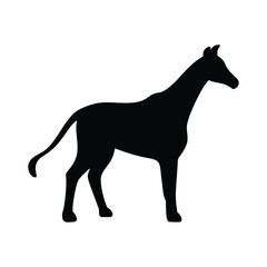 Horse stands gracefully in striking black silhouette over a transparent background