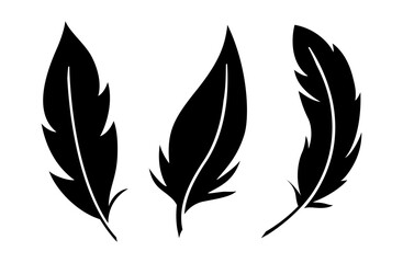 Vector Bird Feathers set isolated on white. Black glyph quill collection in cartoon style