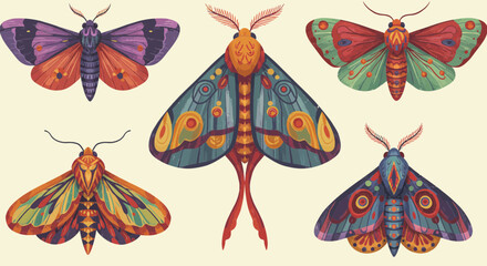Detailed vector illustration featuring five colorful moths with intricate patterns and designs