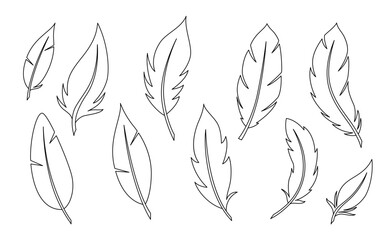 Bird Feathers set isolated on white. Linear vector outline collection.