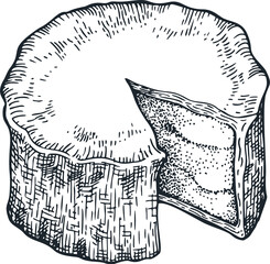 French cheese illustration. Hand drawn blue cheese illustration. Engraved style camembert. Vintage brie cheese illustration..