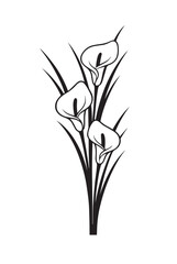 Elegant black and white calla lily floral design flower bloom