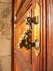 beautiful aged old oak wood door with brass doorknob and door handle. stain finish. antique vintage look. building entrance. close-up detail. beautiful ornate carved pattern. fine oak texture.